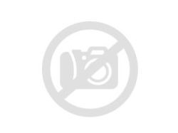 POWERPROOF 1 205/50-17 Y